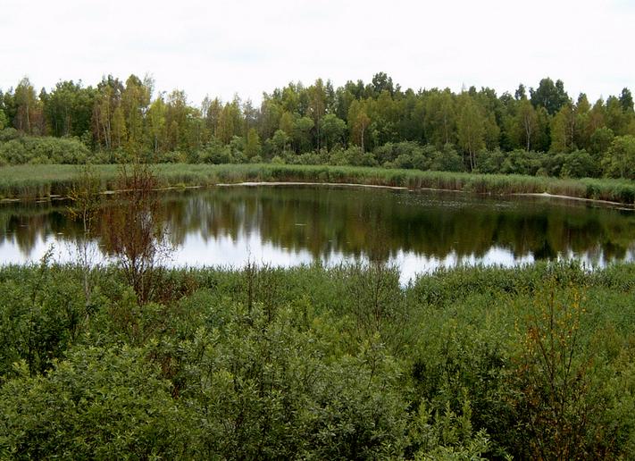 Оопт местного значения