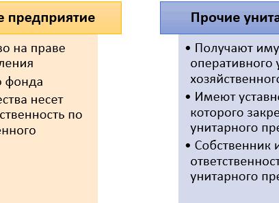 Собственник имущества казенного предприятия