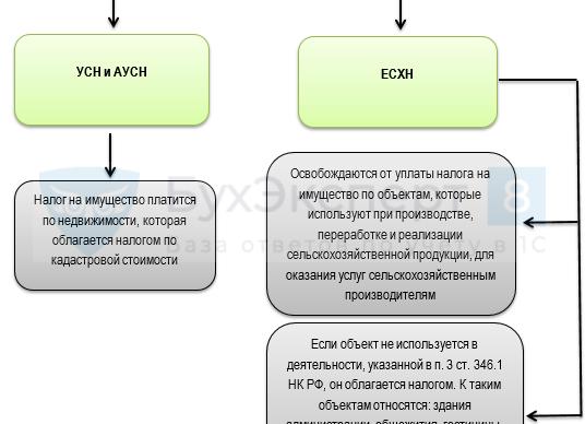 Налог на имущество ИП