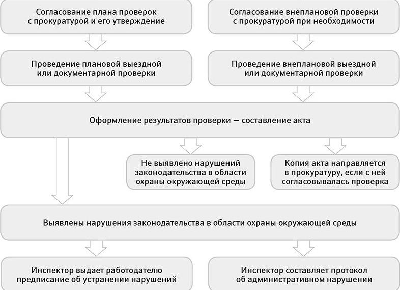 Проверка росприроднадзора что проверяют