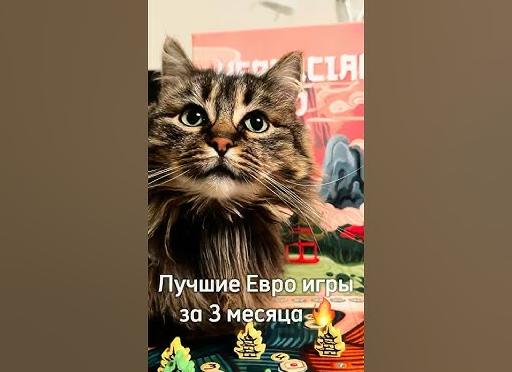 За последние 3 месяца