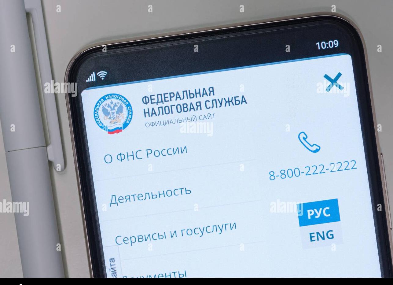 25 налоговая инспекция Москва официальный