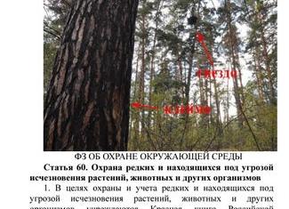 Постановление пленума по ст 260 УК РФ