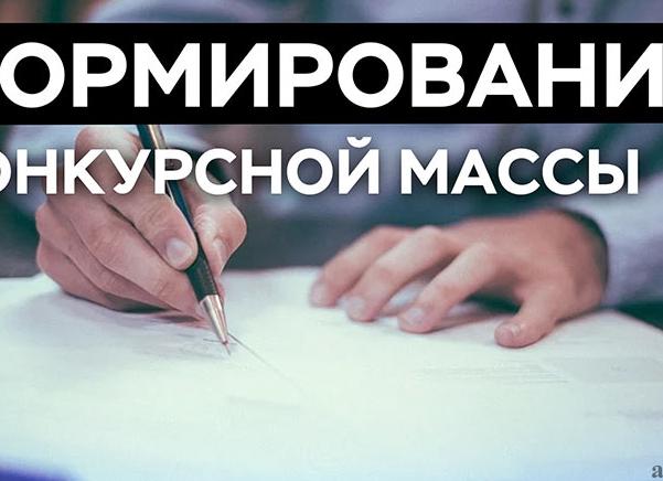 Имущество должника не включаемое в конкурсную массу