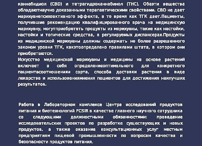 Разработка проекта это работа или услуга?