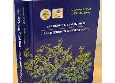 Стихи о бухгалтерии