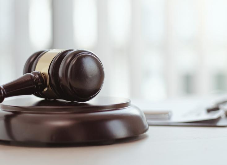 Ответственность в конституционном праве предусмотрена