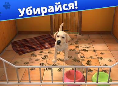 Открыть приют для животных