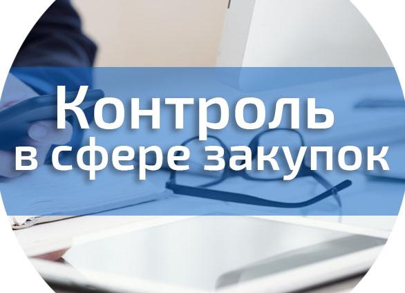 Контроль в сфере закупок