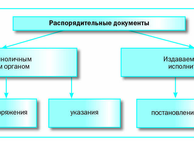 Организационно распорядительные функции
