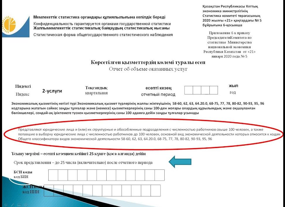 Отчетная форма 62