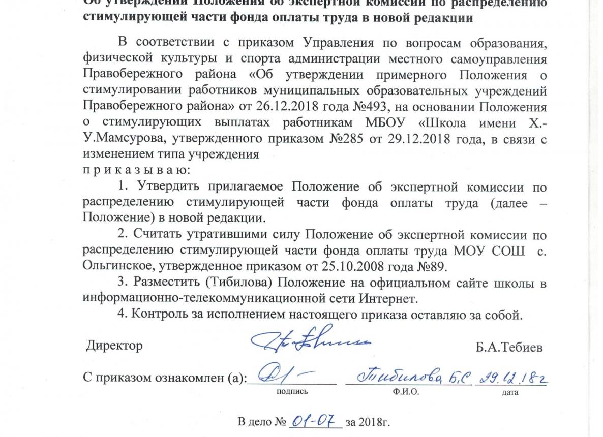 Положение об экспертной комиссии 2018, образец