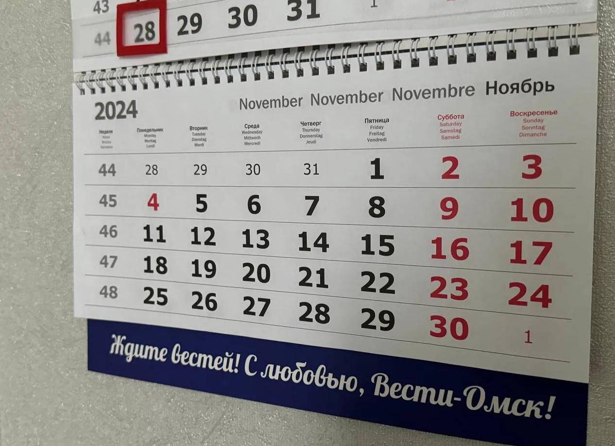 Отпуск после полугода работы