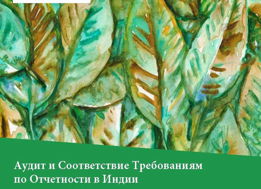 Аудит затрат