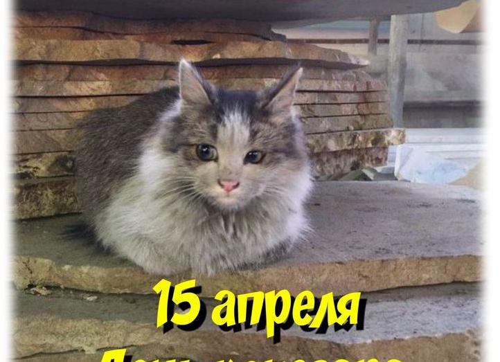 Когда день кочегара