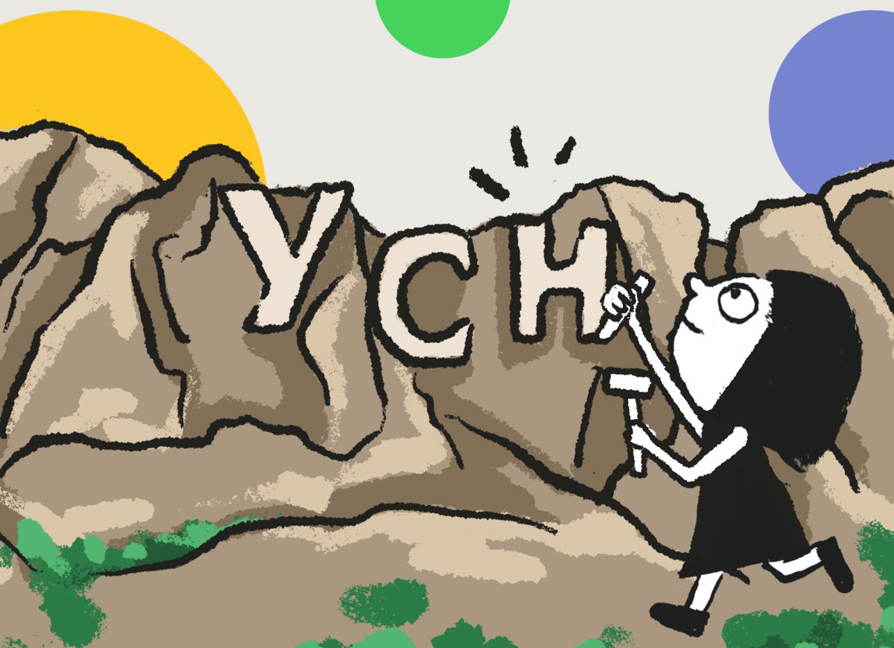 Бухучет в ООО на УСН