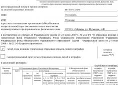 ПФР форма 22 ПФР образец заполнения