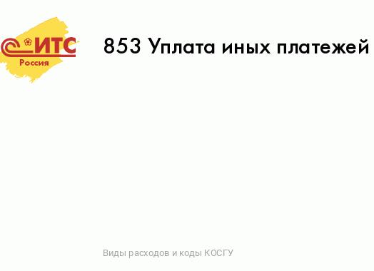 Вид расходов 853