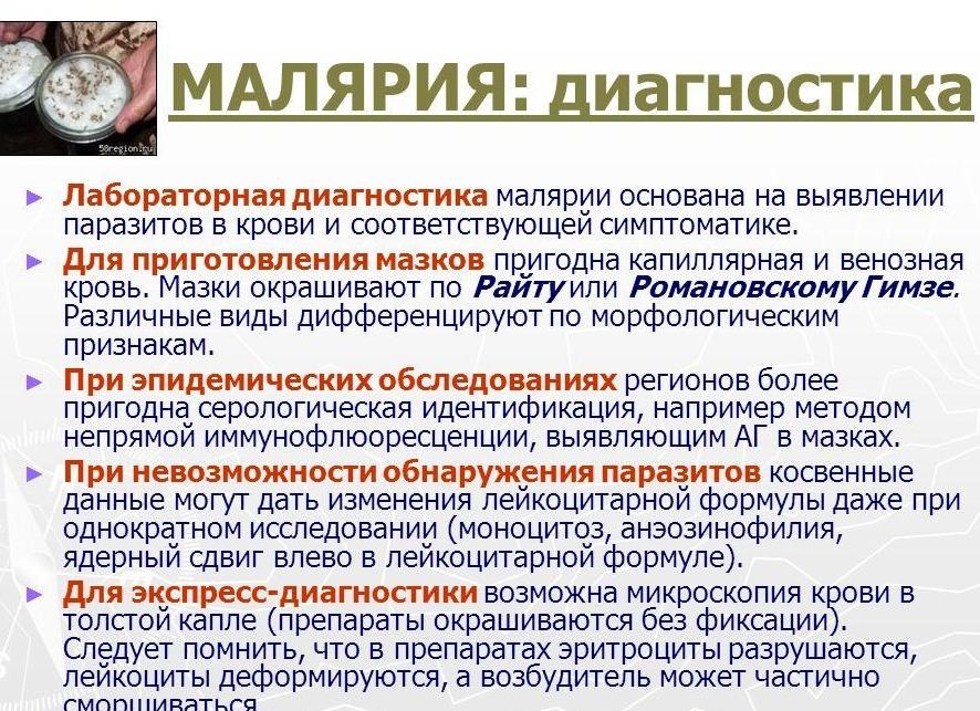 Диагностика малярии