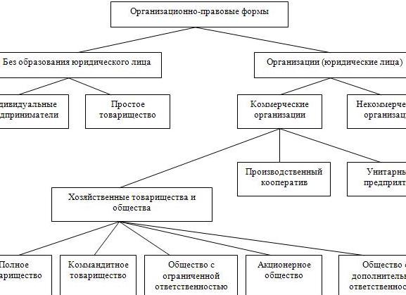 Организационно правовая форма общества с ограниченной ответственностью