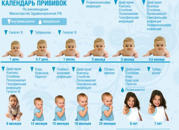Календарь прививок для детей 6