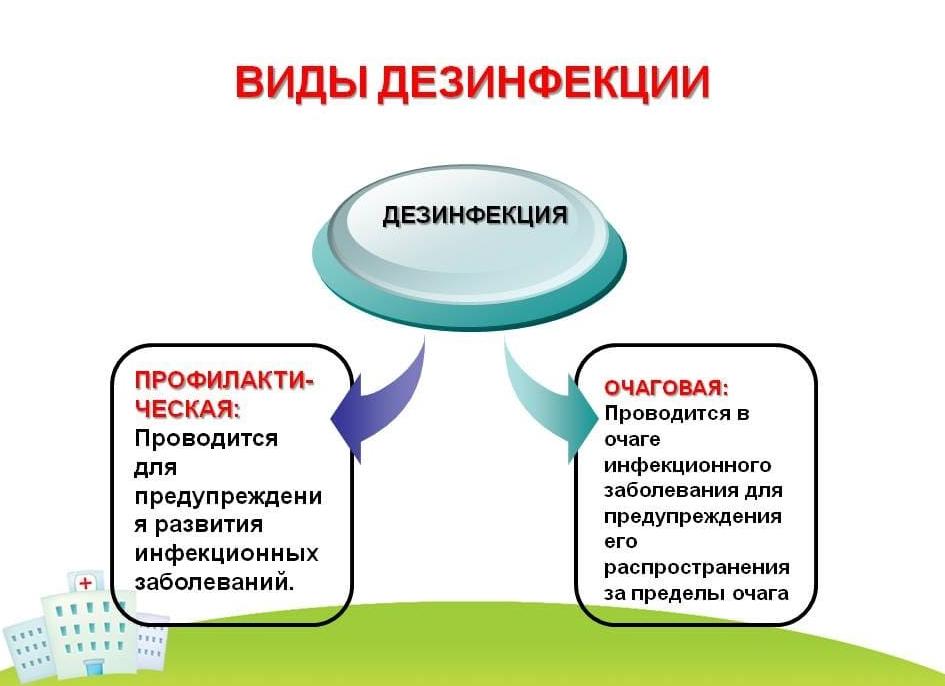 Дезинсекция как часто проводится