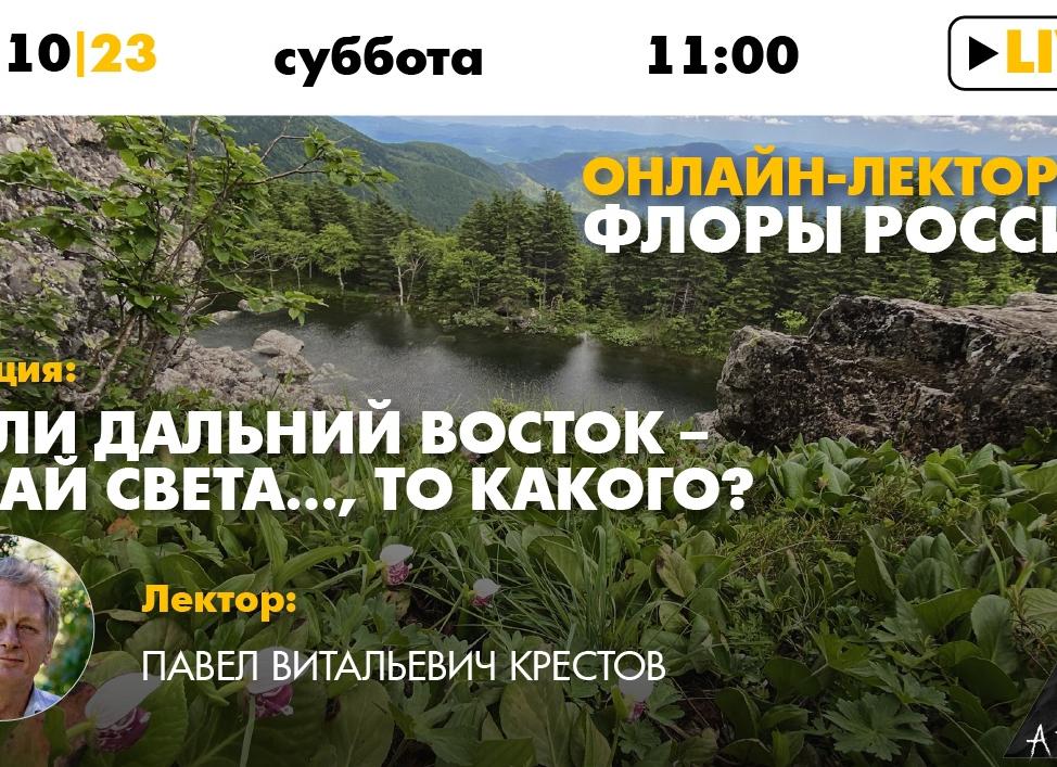 Южные районы дальнего востока перечень