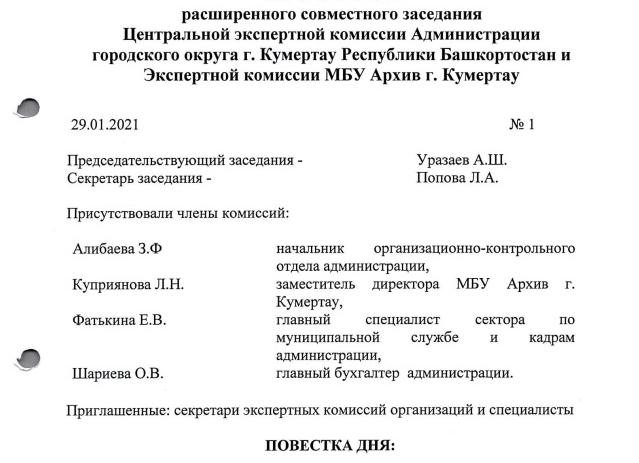 План работы экспертной комиссии, образец