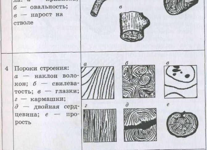 Порок формы