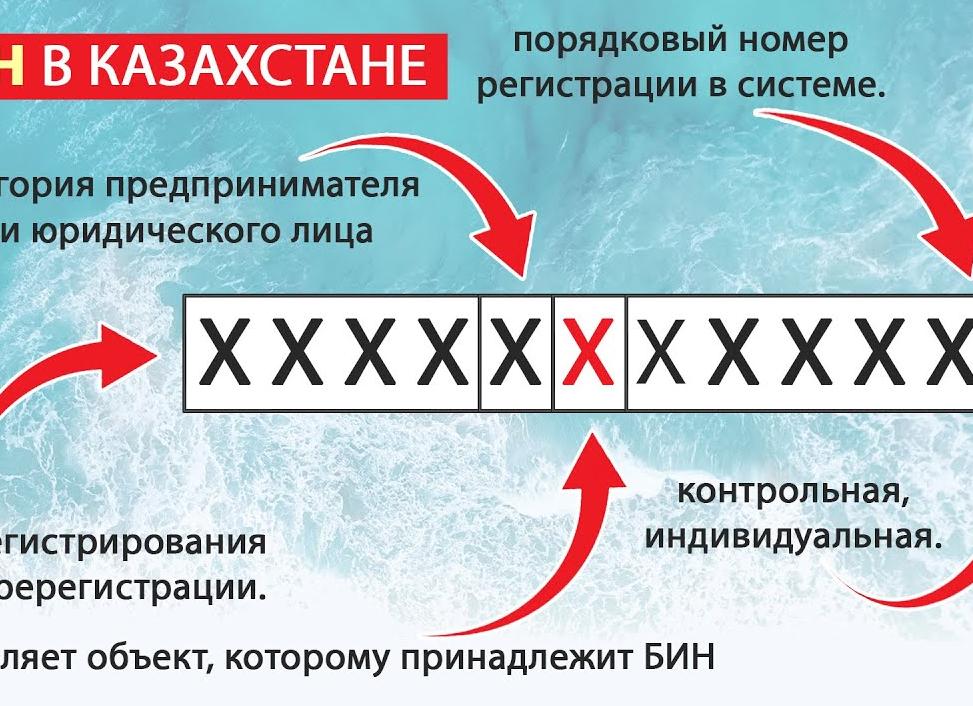 Как расшифровывается бин