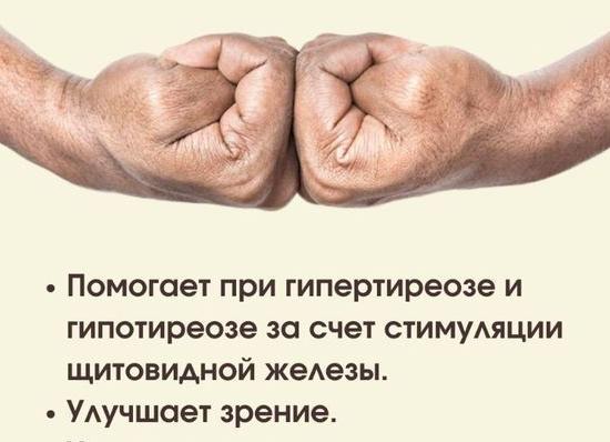 Согласно счета или счету?