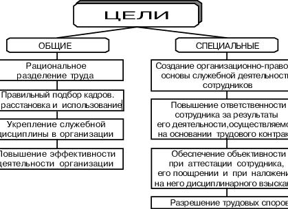 Обязательны ли должностные инструкции
