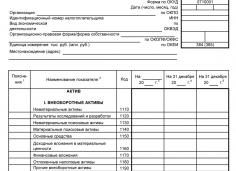 ООО отчетность