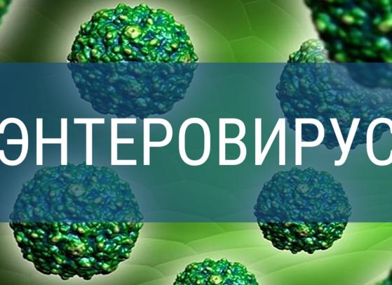 Дезинфицирующие средства для аптек разрешенные роспотребнадзором