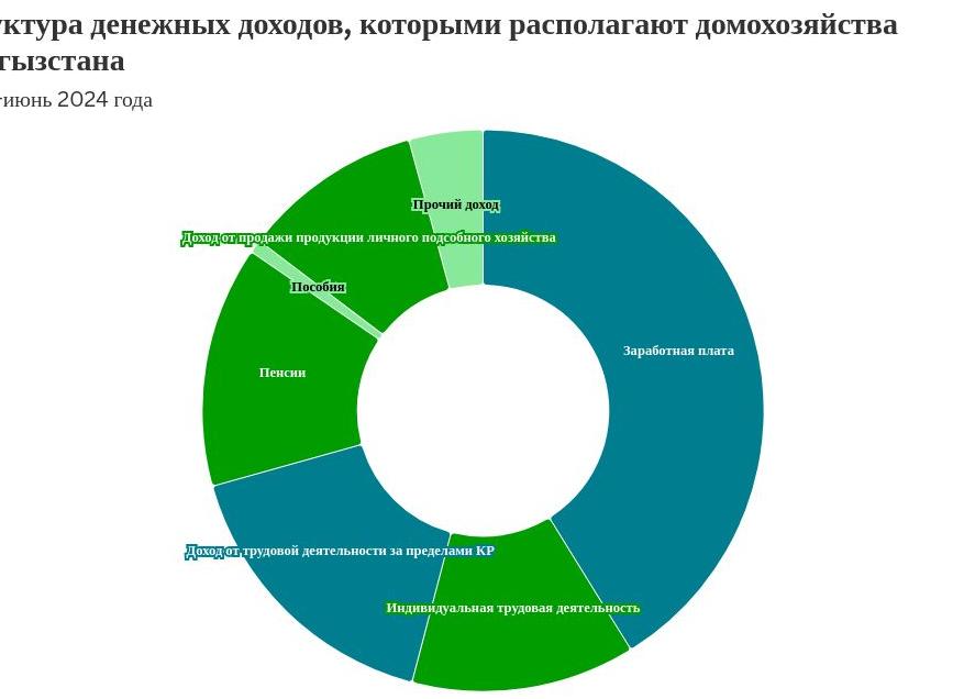 Прочие доходы от трудовой деятельности