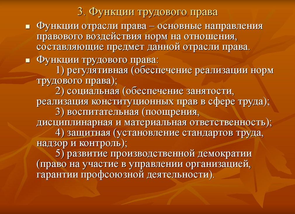 Воспитательная функция трудового права