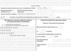 Корректирующая декларация