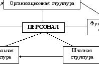 Структура персонала